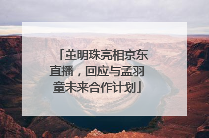 董明珠亮相京东直播，回应与孟羽童未来合作计划