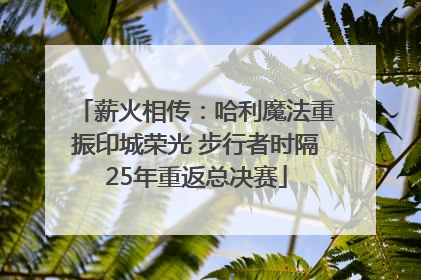薪火相传：哈利魔法重振印城荣光 步行者时隔25年重返总决赛