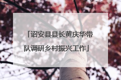 诏安县县长黄庆华带队调研乡村振兴工作