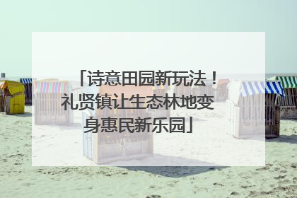诗意田园新玩法！礼贤镇让生态林地变身惠民新乐园