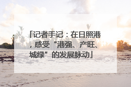 记者手记：在日照港，感受“港强、产旺、城绿”的发展脉动