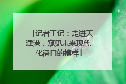 记者手记：走进天津港，窥见未来现代化港口的模样