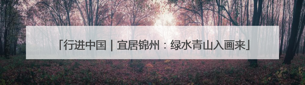 行进中国｜宜居锦州：绿水青山入画来