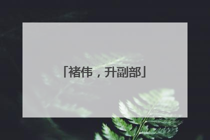 褚伟，升副部