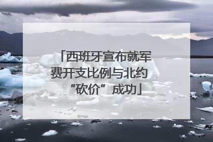 西班牙宣布就军费开支比例与北约“砍价”成功