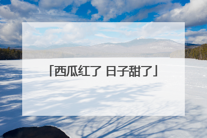 西瓜红了 日子甜了