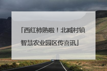 西红柿熟啦！北臧村镇智慧农业园区传喜讯