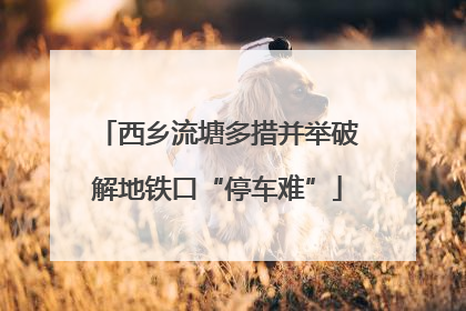 西乡流塘多措并举破解地铁口“停车难”