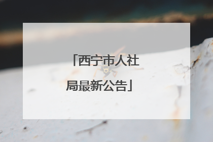 西宁市人社局最新公告