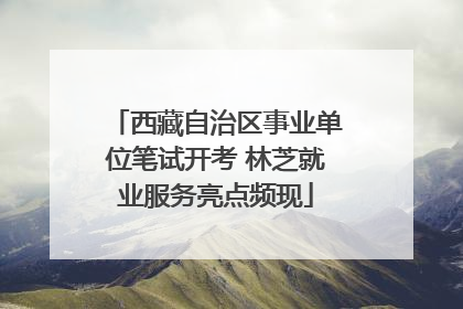 西藏自治区事业单位笔试开考 林芝就业服务亮点频现