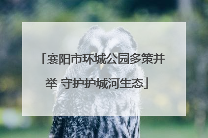 襄阳市环城公园多策并举 守护护城河生态