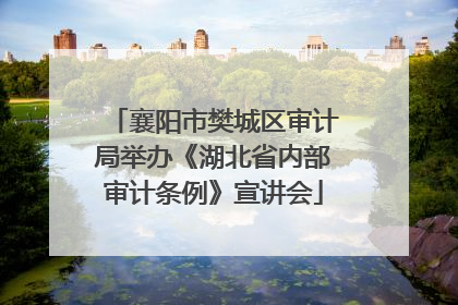 襄阳市樊城区审计局举办《湖北省内部审计条例》宣讲会