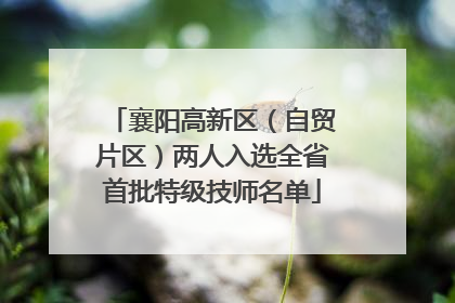 襄阳高新区（自贸片区）两人入选全省首批特级技师名单