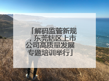解码监管新规，东莞辖区上市公司高质量发展专题培训举行