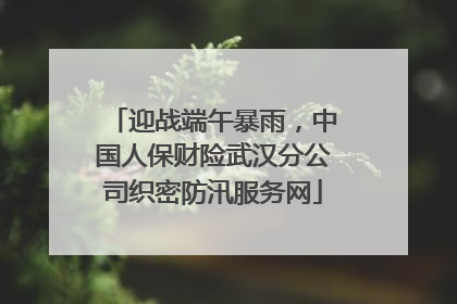 迎战端午暴雨，中国人保财险武汉分公司织密防汛服务网