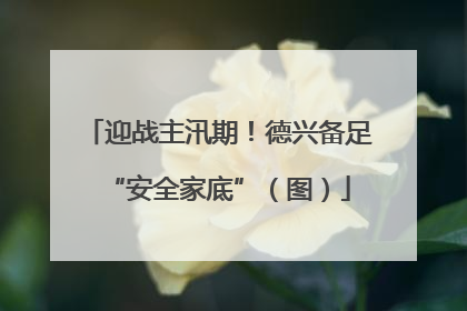 迎战主汛期！德兴备足“安全家底”（图）