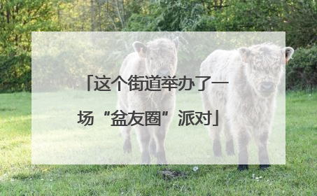 这个街道举办了一场“盆友圈”派对