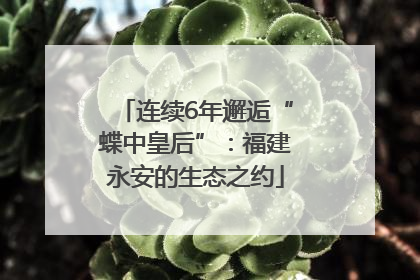 连续6年邂逅“蝶中皇后”：福建永安的生态之约