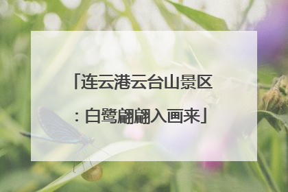 连云港云台山景区：白鹭翩翩入画来