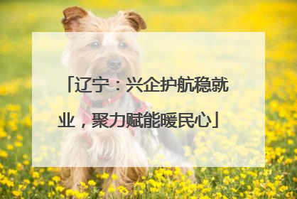 辽宁：兴企护航稳就业，聚力赋能暖民心