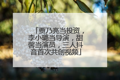 贾乃亮当投资，李小璐当导演，甜馨当演员，三人抖音首次共创视频