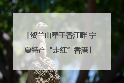 贺兰山牵手香江畔 宁夏特产“走红”香港