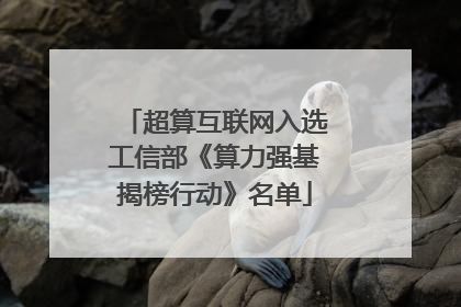 超算互联网入选工信部《算力强基揭榜行动》名单