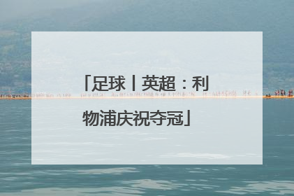 足球丨英超：利物浦庆祝夺冠
