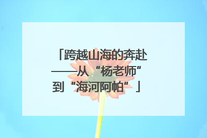 跨越山海的奔赴——从“杨老师”到“海河阿帕”