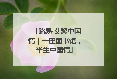 路易·艾黎中国情｜一座图书馆，半生中国情