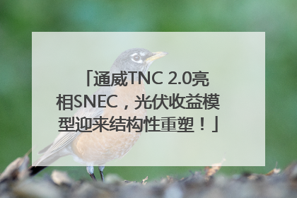通威TNC 2.0亮相SNEC，光伏收益模型迎来结构性重塑！