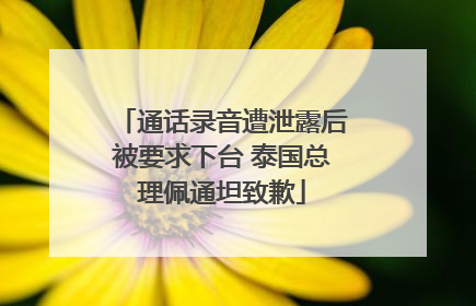 通话录音遭泄露后被要求下台 泰国总理佩通坦致歉