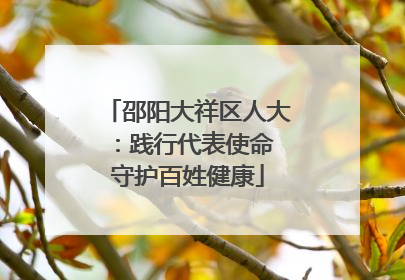 邵阳大祥区人大：践行代表使命 守护百姓健康