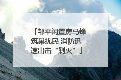 邹平闲置房马蜂筑巢扰民 消防迅速出击“剿灭”