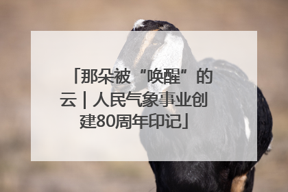 那朵被“唤醒”的云｜人民气象事业创建80周年印记