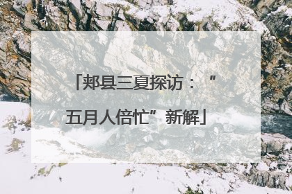 郏县三夏探访：“五月人倍忙”新解