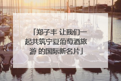 郑子丰 让我们一起共筑宁夏葡萄酒旅游 的国际新名片