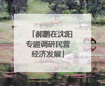 郝鹏在沈阳专题调研民营经济发展
