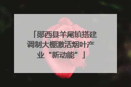 郧西县羊尾镇搭建调制大棚激活烟叶产业“新动能”