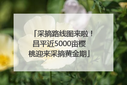 采摘路线图来啦！昌平近5000亩樱桃迎来采摘黄金期