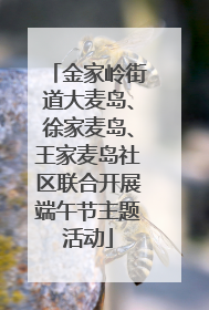 金家岭街道大麦岛、徐家麦岛、王家麦岛社区联合开展端午节主题活动