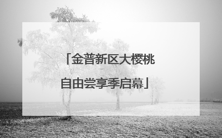 金普新区大樱桃自由尝享季启幕