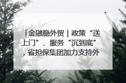 金融稳外贸｜政策“送上门”、服务“沉到底”，省担保集团加力支持外经贸高质量发展