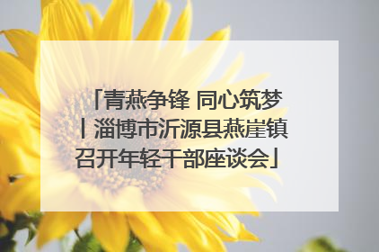 青燕争锋 同心筑梦丨淄博市沂源县燕崖镇召开年轻干部座谈会