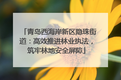 青岛西海岸新区隐珠街道：高效推进林业执法，筑牢林地安全屏障