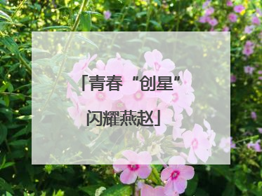 青春“创星” 闪耀燕赵