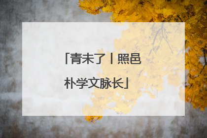 青未了丨照邑朴学文脉长