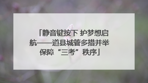 静音键按下 护梦想启航——道县城管多措并举保障“三考”秩序