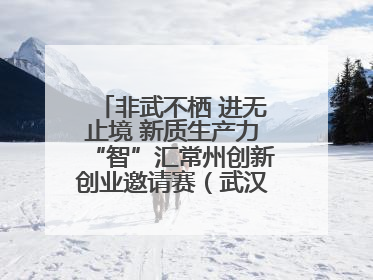 非武不栖 进无止境 新质生产力“智”汇常州创新创业邀请赛（武汉站）圆满举办
