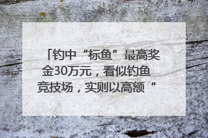 钓中“标鱼”最高奖金30万元，看似钓鱼竞技场，实则以高额“回报”作“饵”……｜今晚九点半